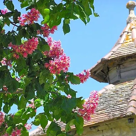 Domaine De L'isle Basse 4* Fontanes